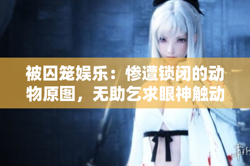 被囚笼娱乐：惨遭锁闭的动物原图，无助乞求眼神触动人心。