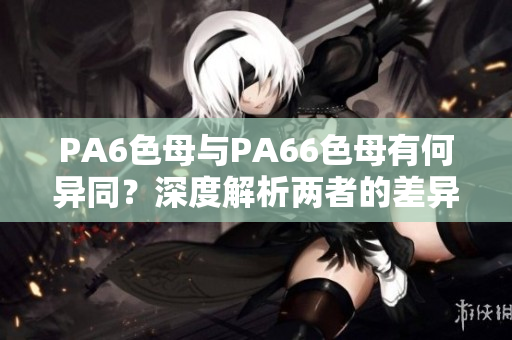 PA6色母与PA66色母有何异同？深度解析两者的差异及应用领域