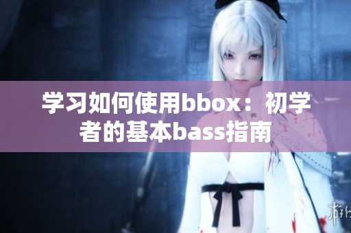 学习如何使用bbox：初学者的基本bass指南