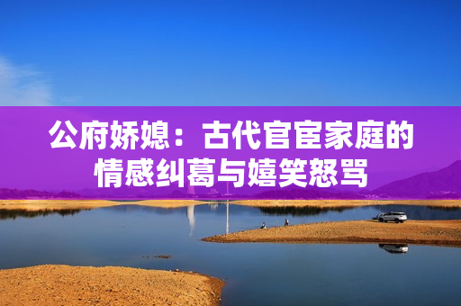 公府娇媳：古代官宦家庭的情感纠葛与嬉笑怒骂