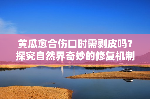 黄瓜愈合伤口时需剥皮吗？探究自然界奇妙的修复机制！