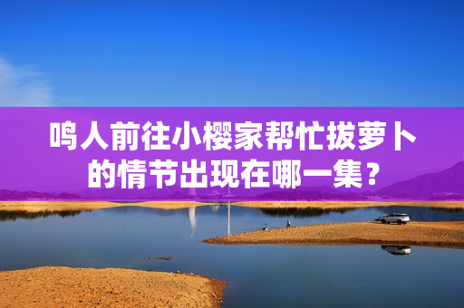 鸣人前往小樱家帮忙拔萝卜的情节出现在哪一集？