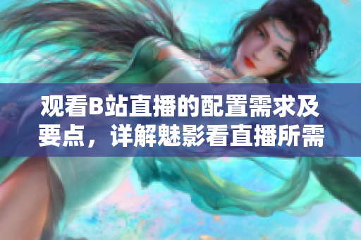 观看B站直播的配置需求及要点，详解魅影看直播所需设备和要求