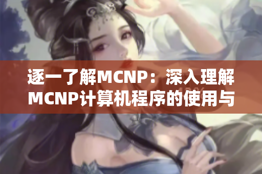逐一了解MCNP：深入理解MCNP计算机程序的使用与应用