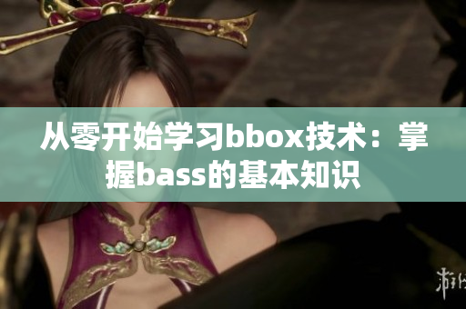 从零开始学习bbox技术：掌握bass的基本知识