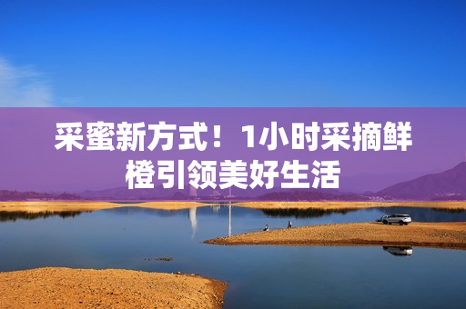 采蜜新方式！1小时采摘鲜橙引领美好生活