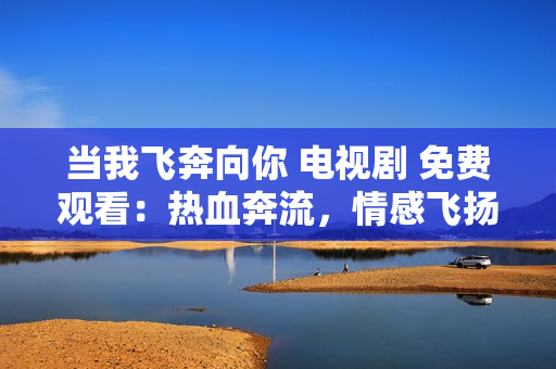 当我飞奔向你 电视剧 免费观看：热血奔流，情感飞扬