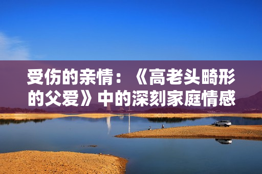 受伤的亲情：《高老头畸形的父爱》中的深刻家庭情感再现