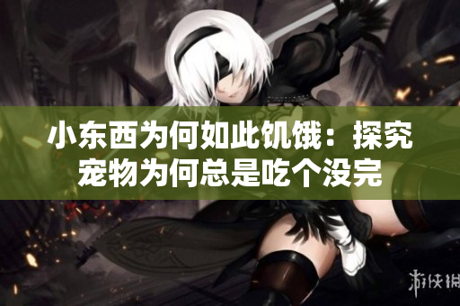 小东西为何如此饥饿：探究宠物为何总是吃个没完