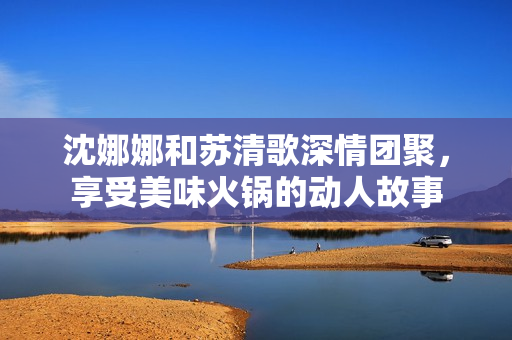 沈娜娜和苏清歌深情团聚，享受美味火锅的动人故事