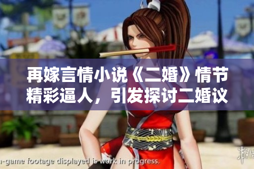 再嫁言情小说《二婚》情节精彩逼人，引发探讨二婚议题。