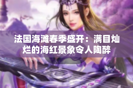 法国海滩春季盛开：满目灿烂的海红景象令人陶醉