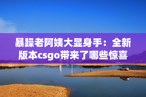 暴躁老阿姨大显身手：全新版本csgo带来了哪些惊喜？