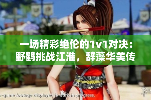 一场精彩绝伦的1v1对决：野鹤挑战江淮，辞藻华美传情达意