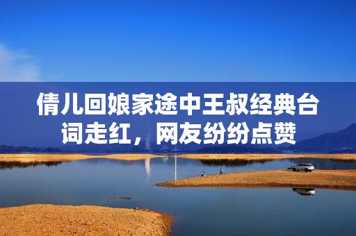 倩儿回娘家途中王叔经典台词走红，网友纷纷点赞