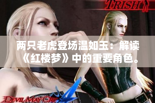 两只老虎登场温如玉：解读《红楼梦》中的重要角色。