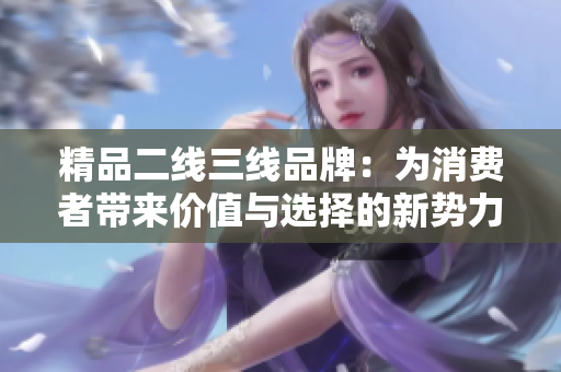 精品二线三线品牌：为消费者带来价值与选择的新势力