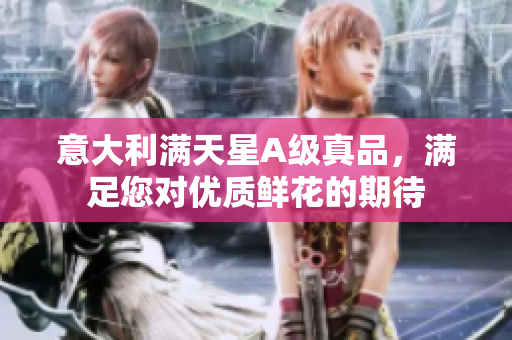 意大利满天星A级真品，满足您对优质鲜花的期待
