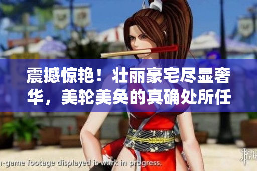 震撼惊艳！壮丽豪宅尽显奢华，美轮美奂的真确处所任你驰骋
