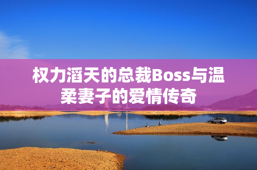 权力滔天的总裁Boss与温柔妻子的爱情传奇