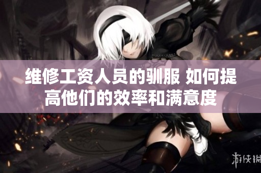 维修工资人员的驯服 如何提高他们的效率和满意度