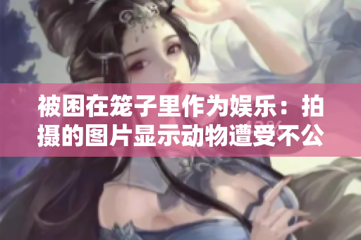 被困在笼子里作为娱乐：拍摄的图片显示动物遭受不公待遇