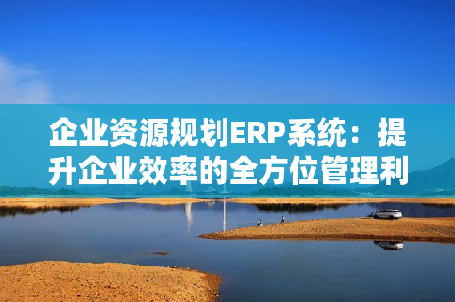 企业资源规划ERP系统：提升企业效率的全方位管理利器