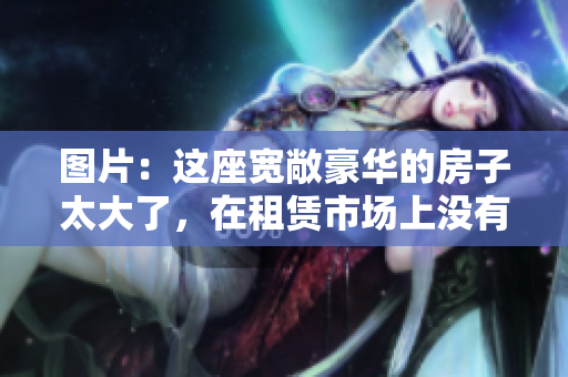 图片：这座宽敞豪华的房子太大了，在租赁市场上没有对手