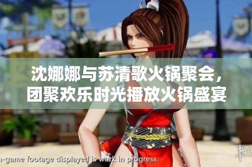 沈娜娜与苏清歌火锅聚会，团聚欢乐时光播放火锅盛宴