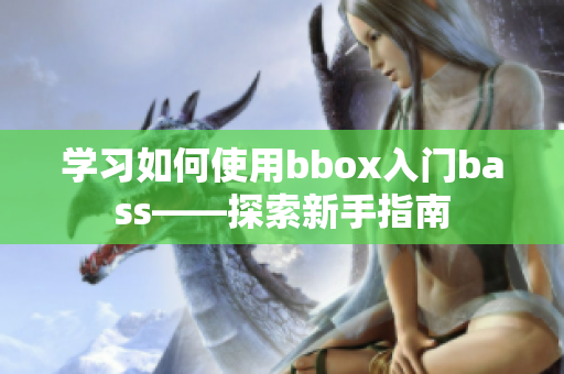 学习如何使用bbox入门bass——探索新手指南