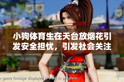小狗体育生在天台放烟花引发安全担忧，引发社会关注