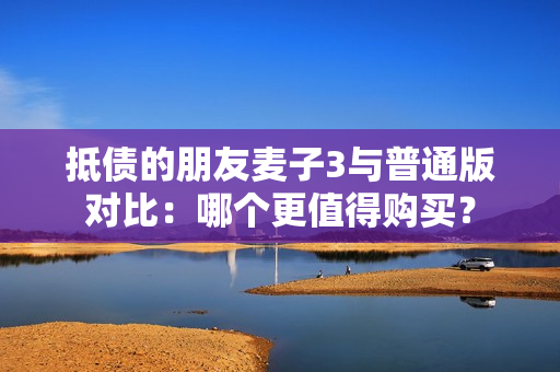 抵债的朋友麦子3与普通版对比：哪个更值得购买？