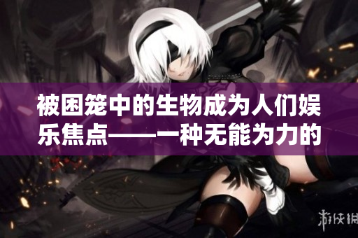 被困笼中的生物成为人们娱乐焦点——一种无能为力的悲哀审视