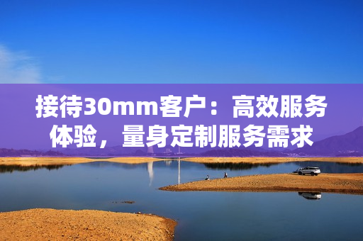 接待30mm客户：高效服务体验，量身定制服务需求