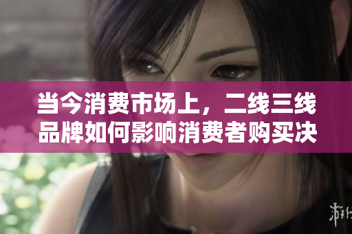 当今消费市场上，二线三线品牌如何影响消费者购买决策