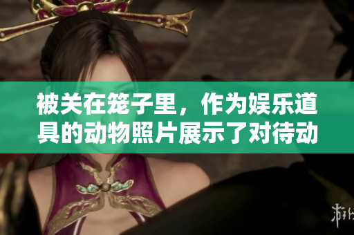 被关在笼子里，作为娱乐道具的动物照片展示了对待动物的不尊重。