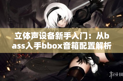 立体声设备新手入门：从bass入手bbox音箱配置解析