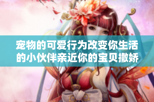 宠物的可爱行为改变你生活的小伙伴亲近你的宝贝撒娇的小可爱