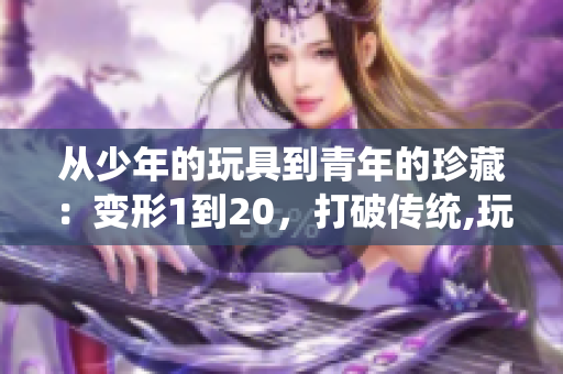从少年的玩具到青年的珍藏：变形1到20，打破传统,玩转未来