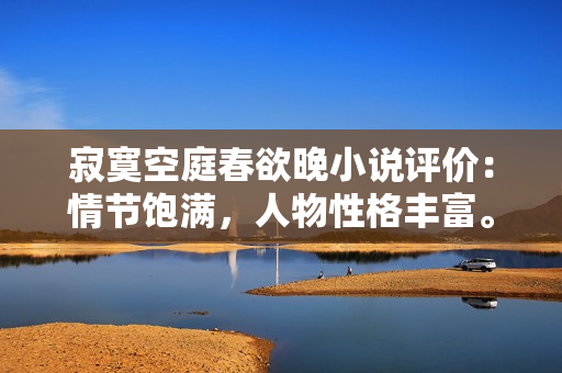 寂寞空庭春欲晚小说评价：情节饱满，人物性格丰富。