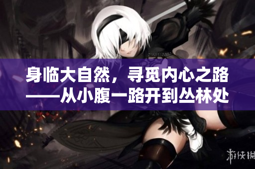 身临大自然，寻觅内心之路——从小腹一路开到丛林处