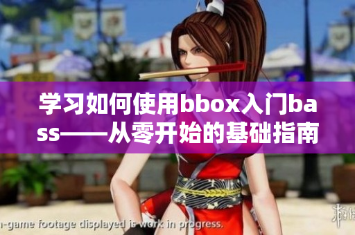 学习如何使用bbox入门bass——从零开始的基础指南