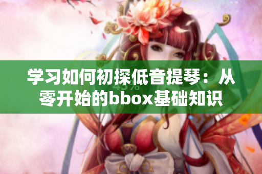 学习如何初探低音提琴：从零开始的bbox基础知识