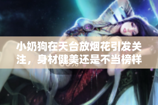 小奶狗在天台放烟花引发关注，身材健美还是不当榜样？