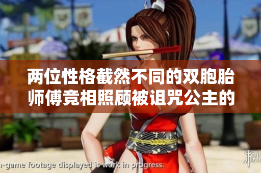 两位性格截然不同的双胞胎师傅竞相照顾被诅咒公主的故事
