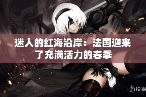 迷人的红海沿岸：法国迎来了充满活力的春季