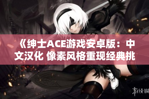 《绅士ACE游戏安卓版：中文汉化 像素风格重现经典挑战》