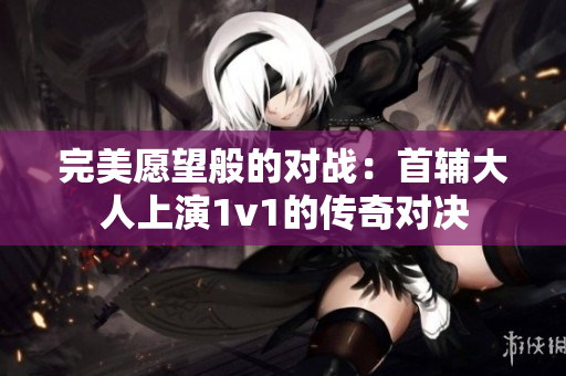 完美愿望般的对战：首辅大人上演1v1的传奇对决
