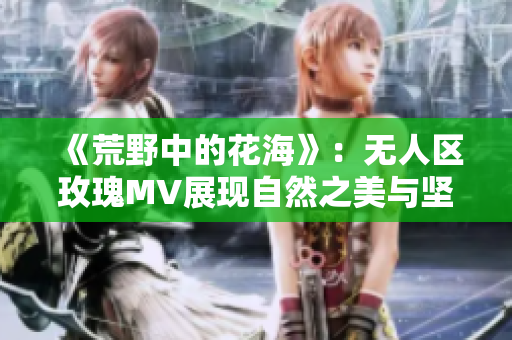 《荒野中的花海》：无人区玫瑰MV展现自然之美与坚韧力量