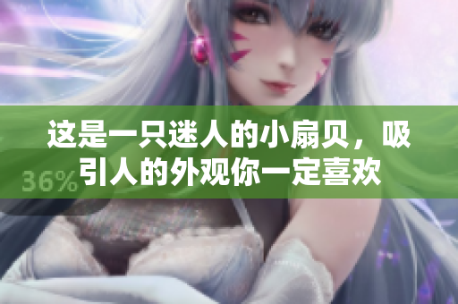 这是一只迷人的小扇贝，吸引人的外观你一定喜欢